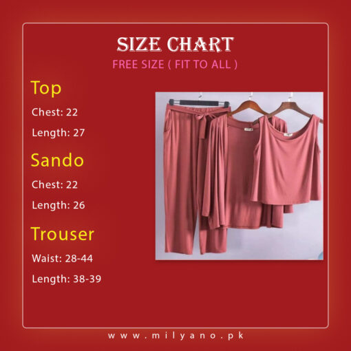 Brown Friends Women 3pcs Night Suit set